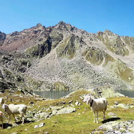 Wallis By Interhome דירה *