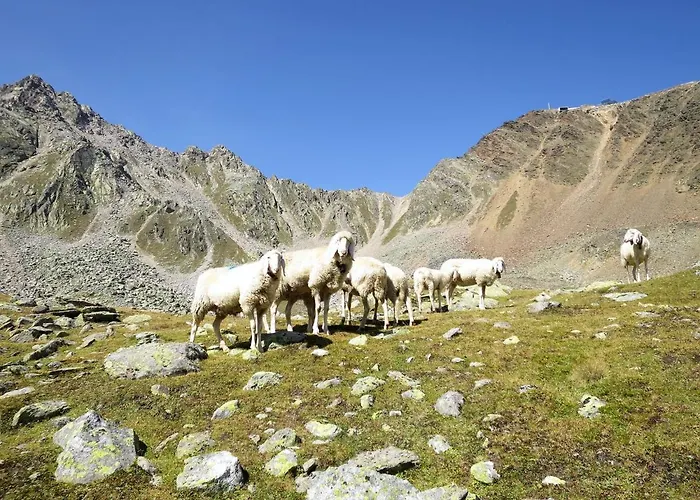 Wallis By Interhome Sölden